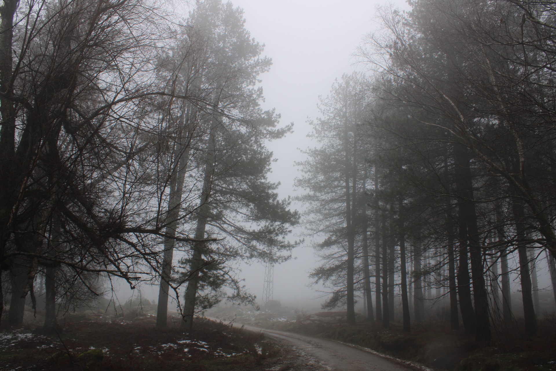 Serra do Alvão | Fernando Morais | 2024