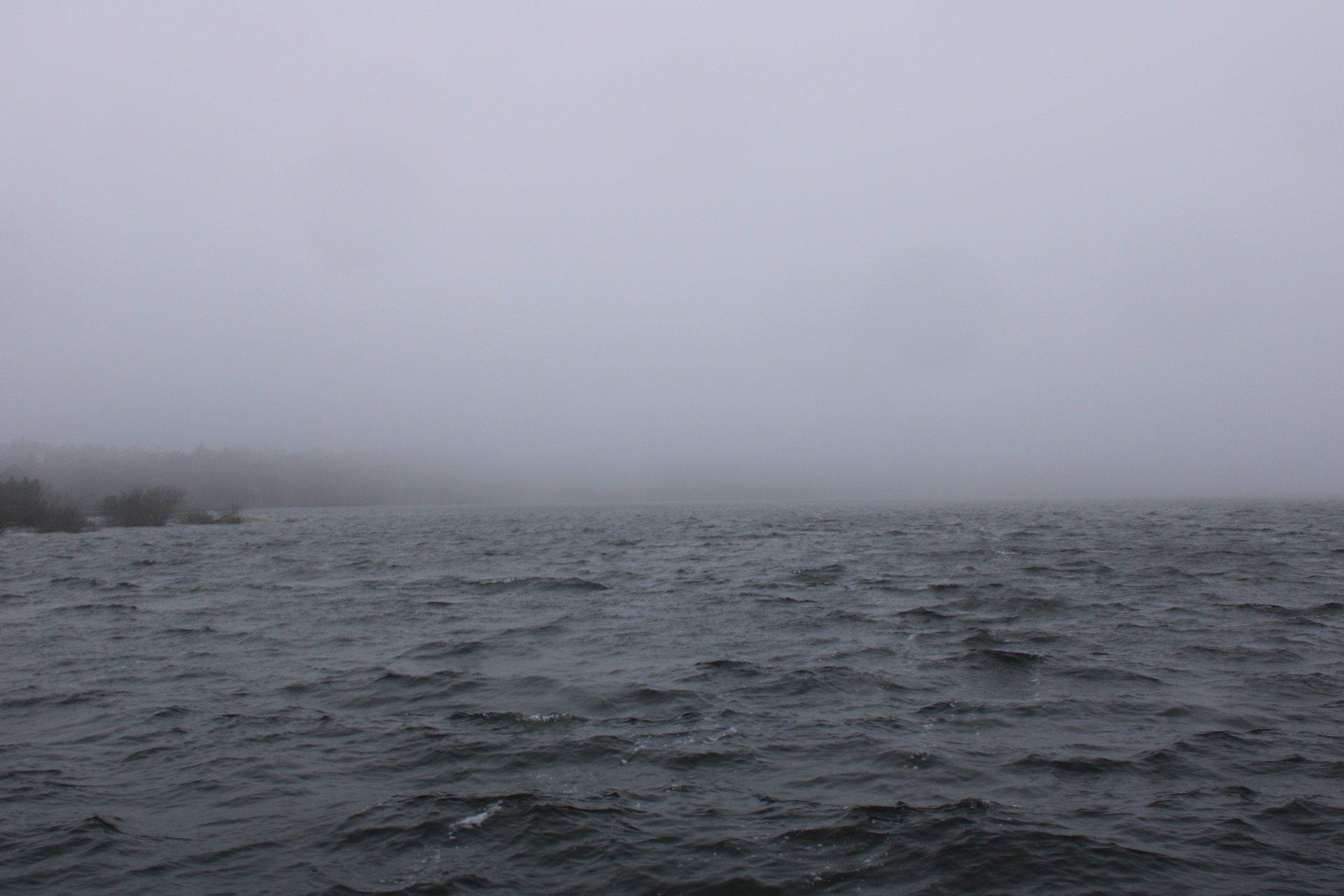 Barragem do Alvão | Fernando Morais | 2024