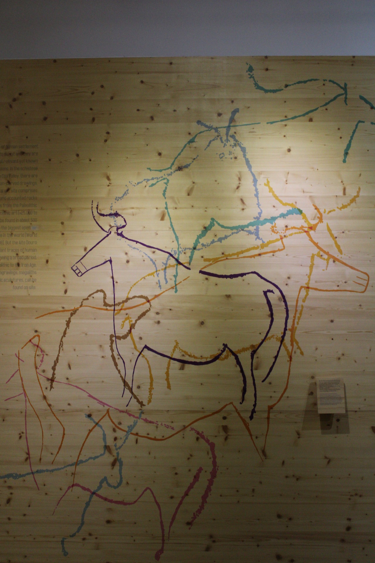 Museu do Douro | Fernando Morais | 2024