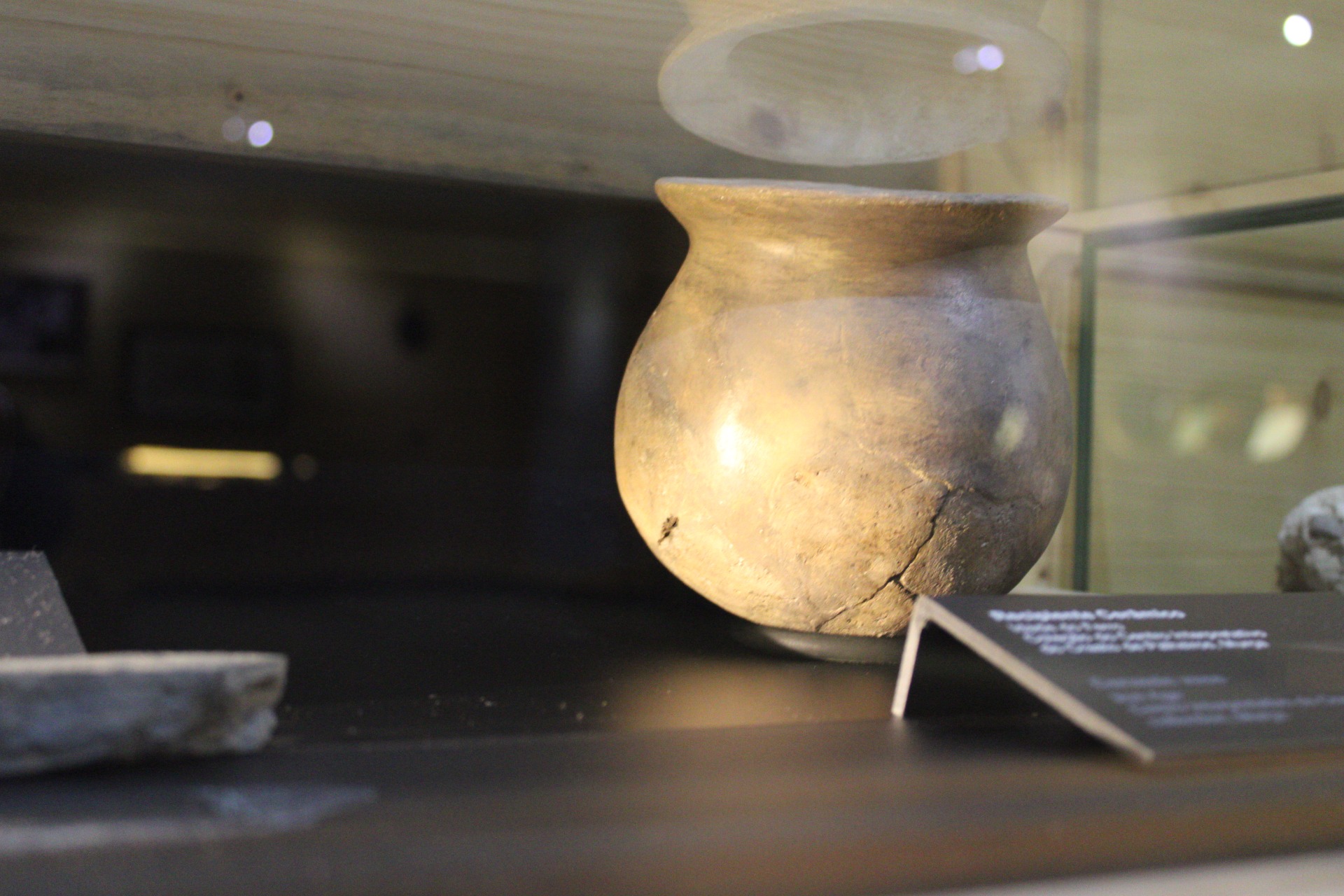 Museu do Douro | Fernando Morais | 2024