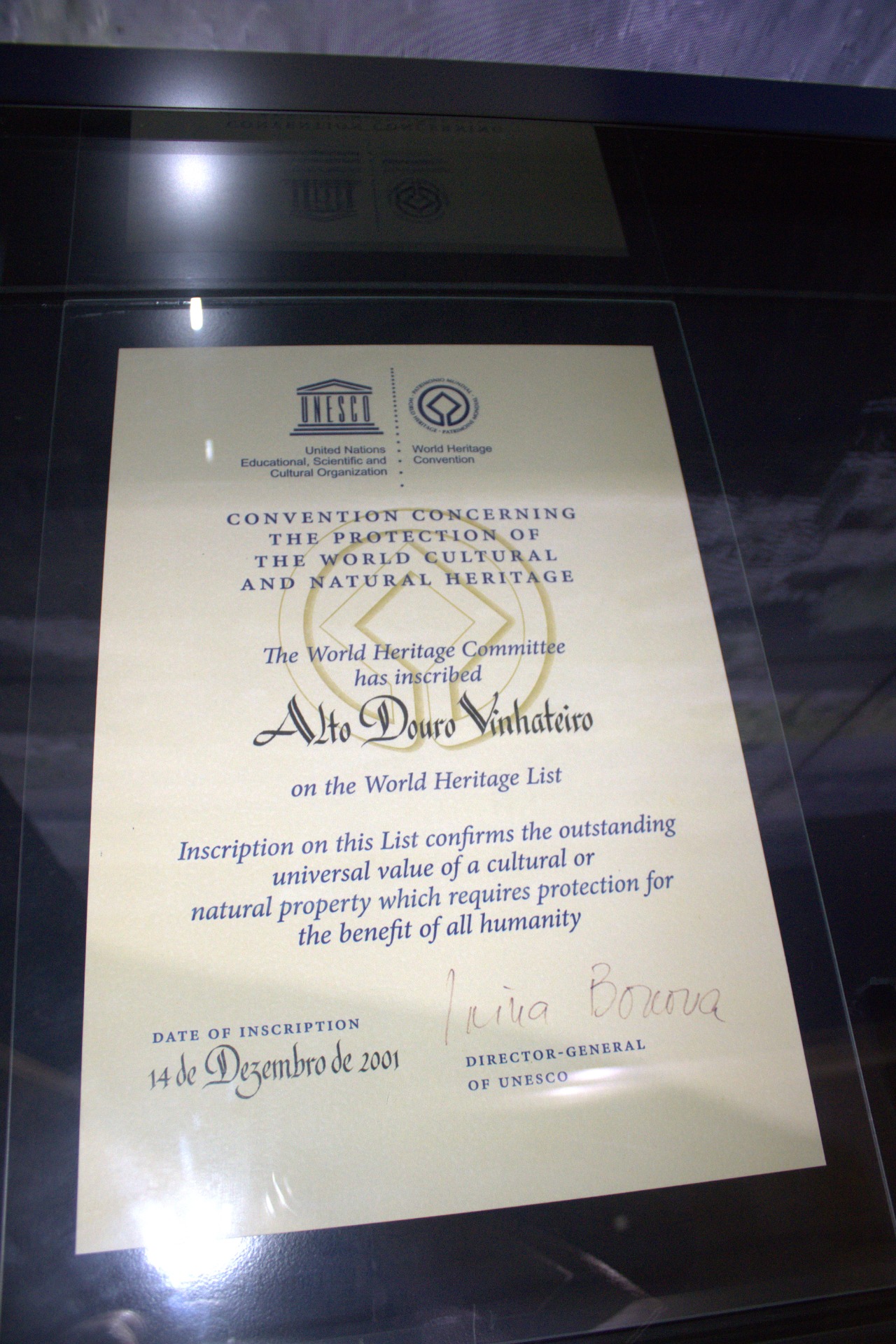 Museu do Douro | Fernando Morais | 2024