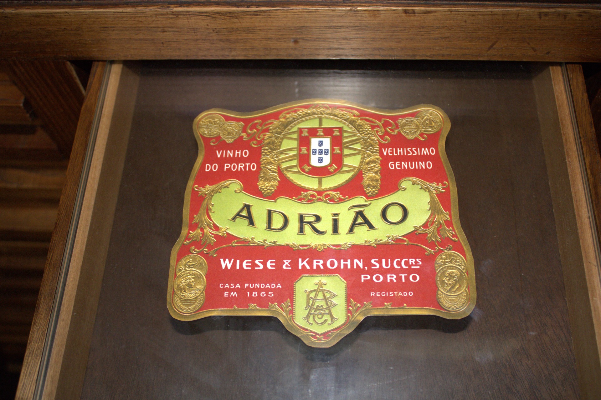 Museu do Douro | Fernando Morais | 2024