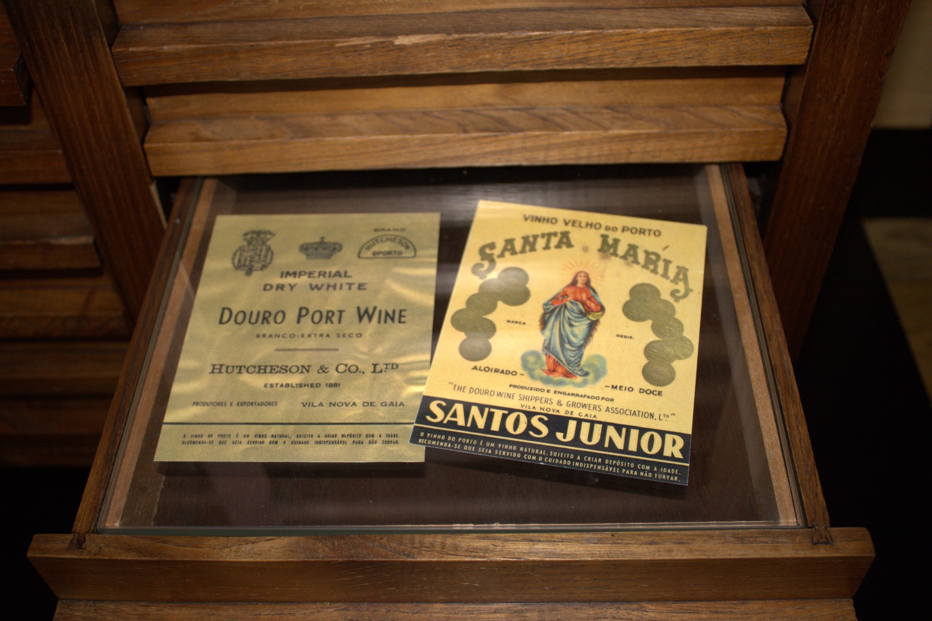 Museu do Douro | Fernando Morais | 2024