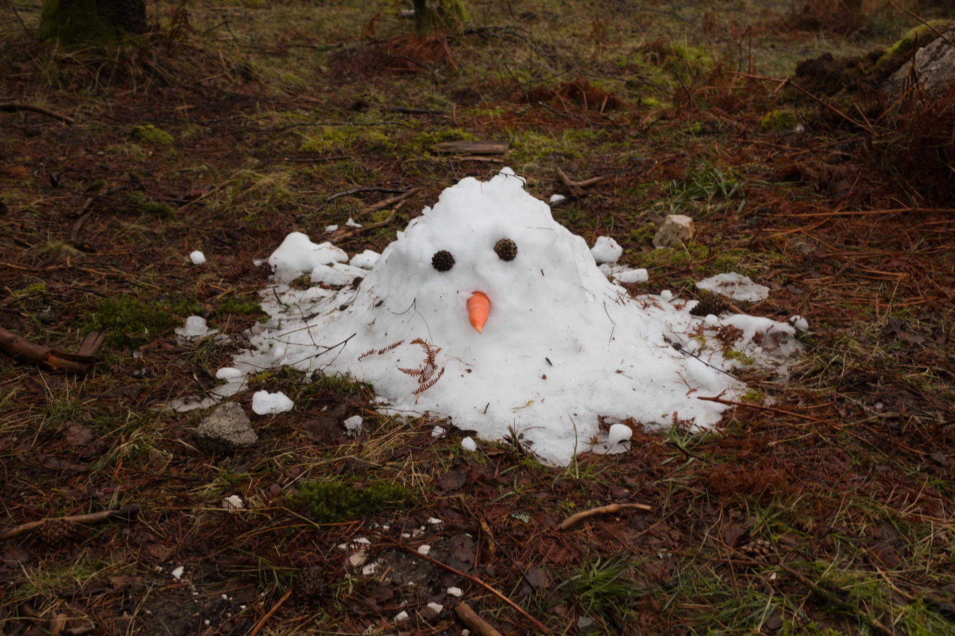 Serra do Alvão | Fernando Morais | 2024