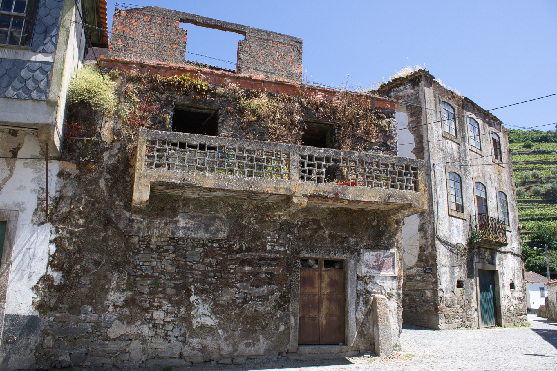 Presegueda | Fernando Morais | 2024