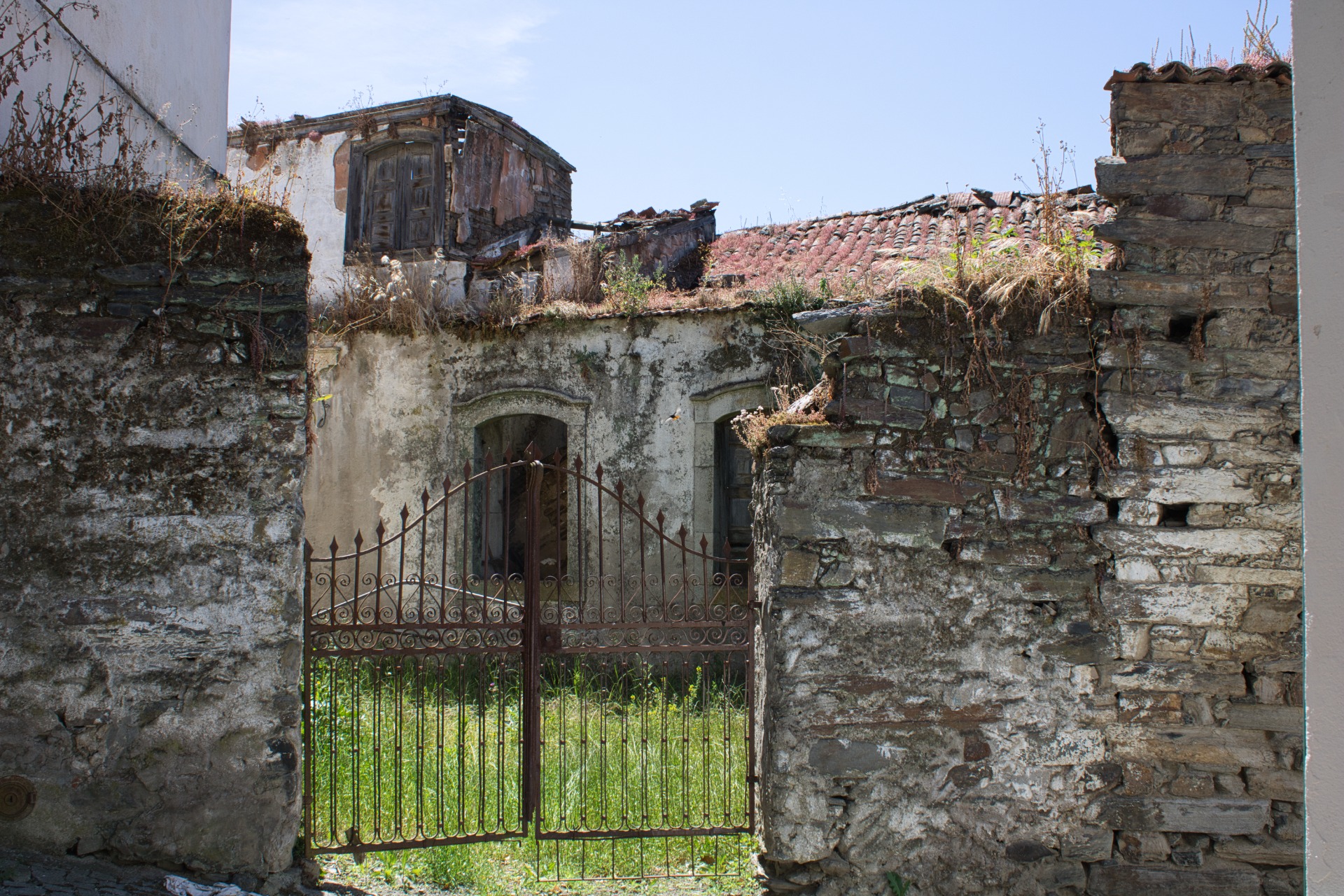 Presegueda | Fernando Morais | 2024