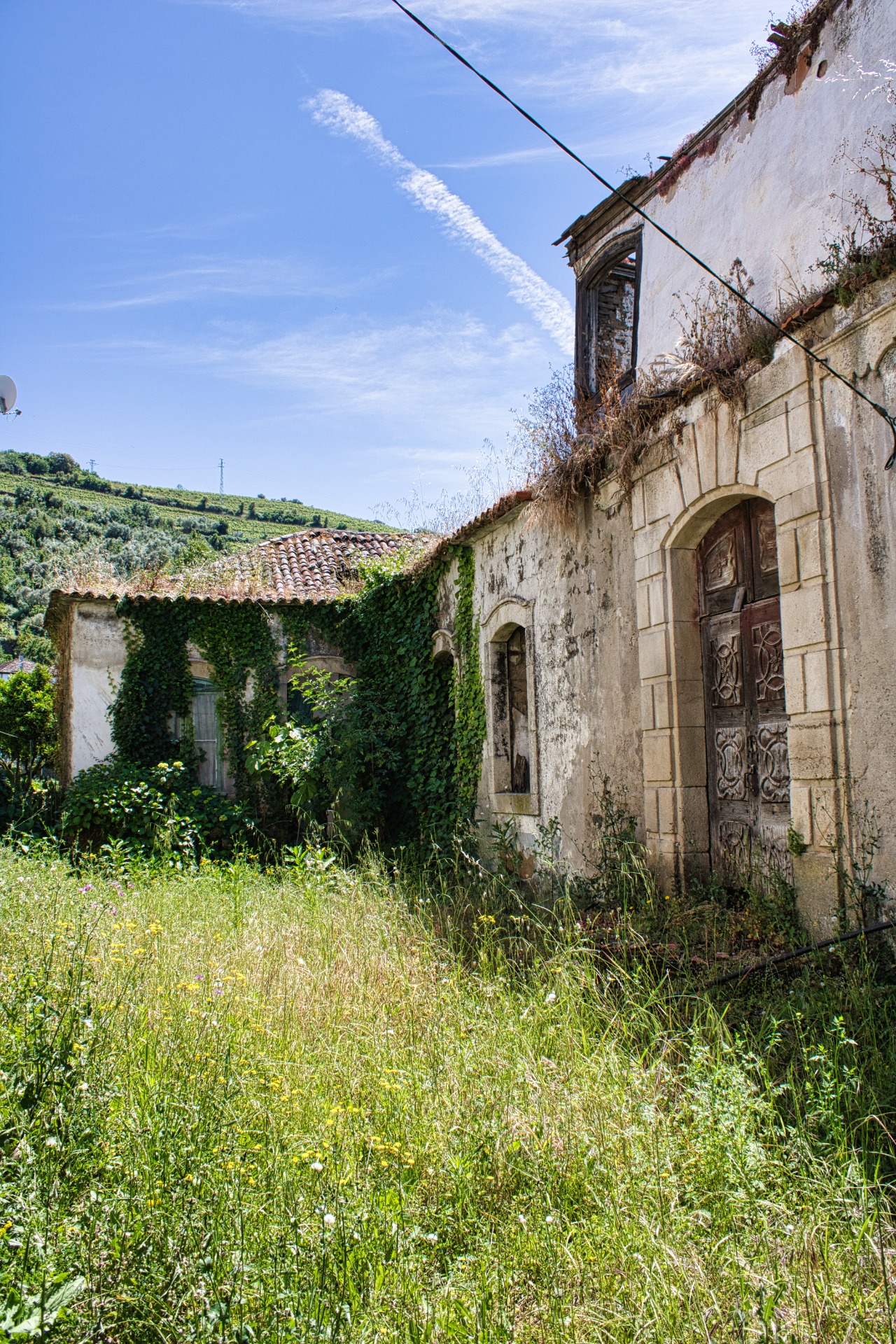 Presegueda | Fernando Morais | 2024