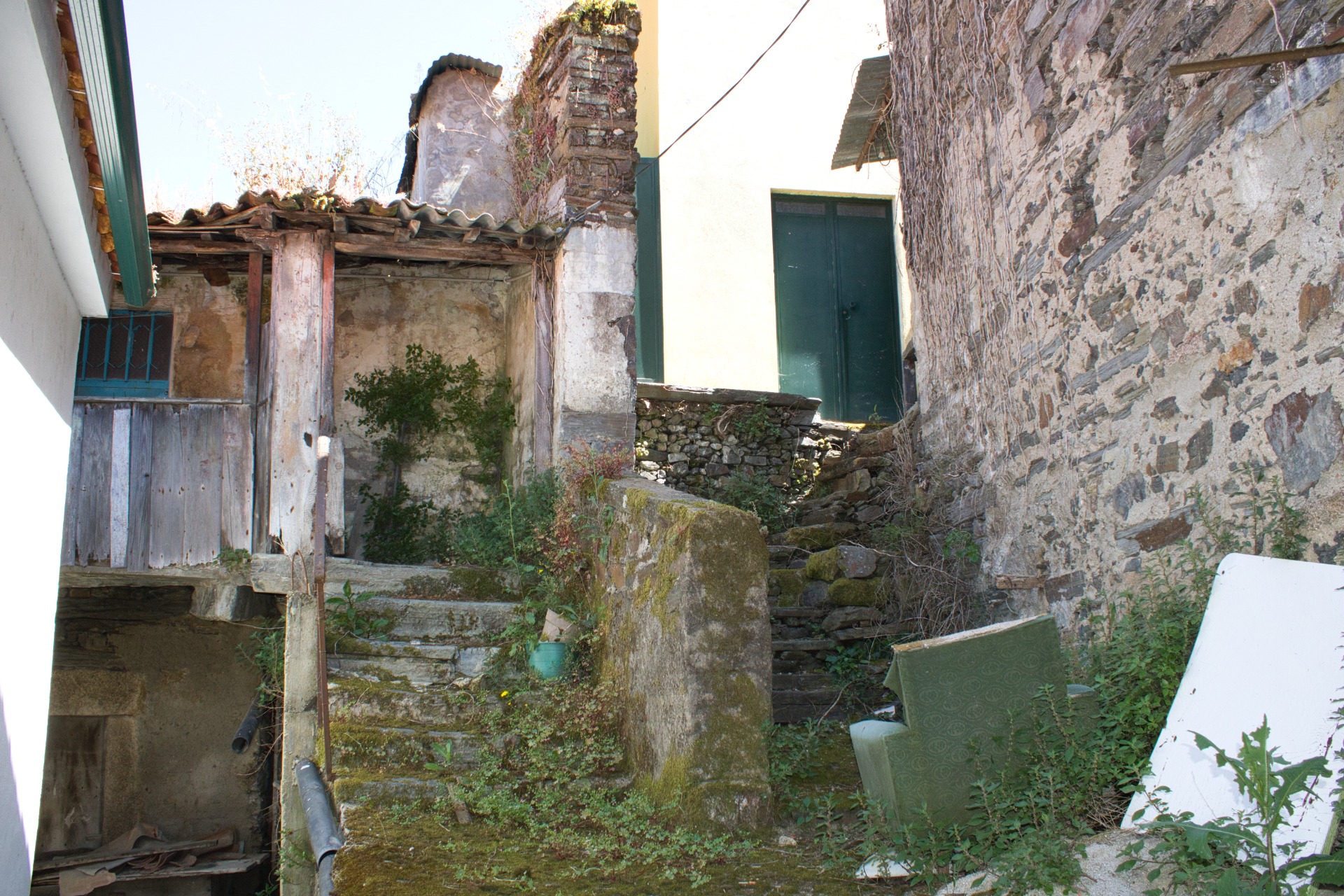 Presegueda | Fernando Morais | 2024