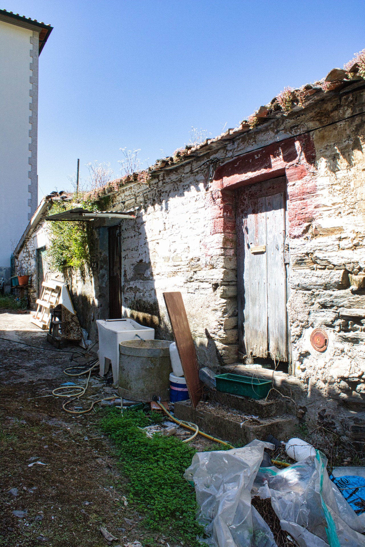 Presegueda | Fernando Morais | 2024