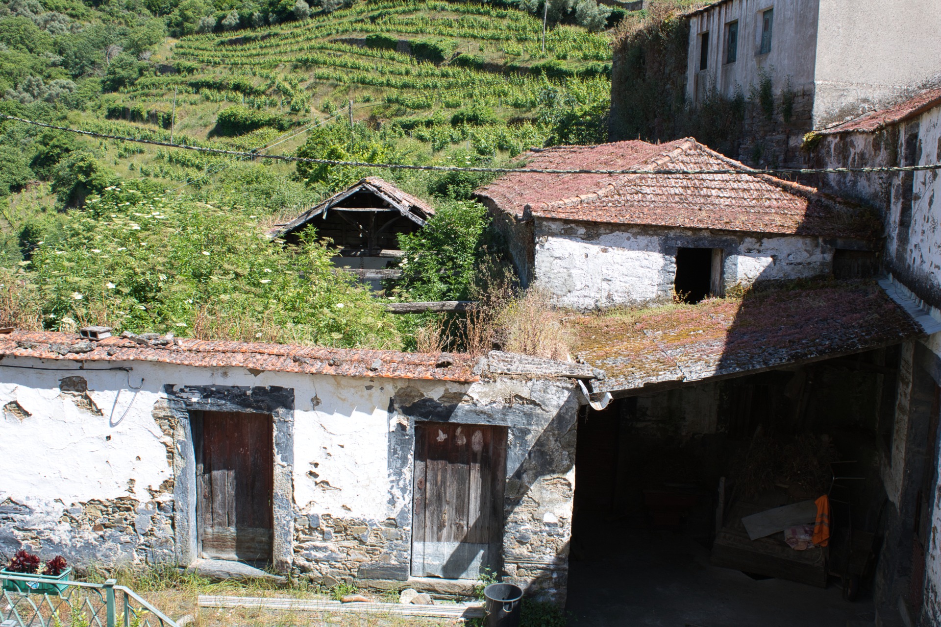 Presegueda | Fernando Morais | 2024